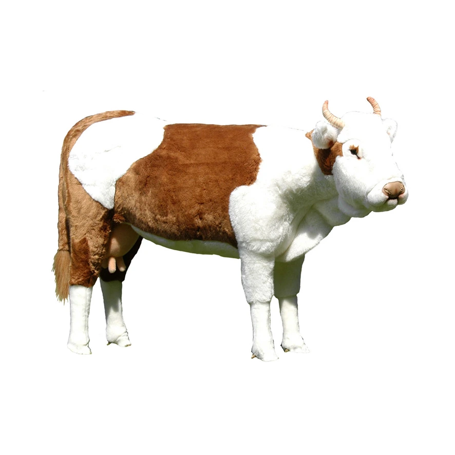 [26265L] COW