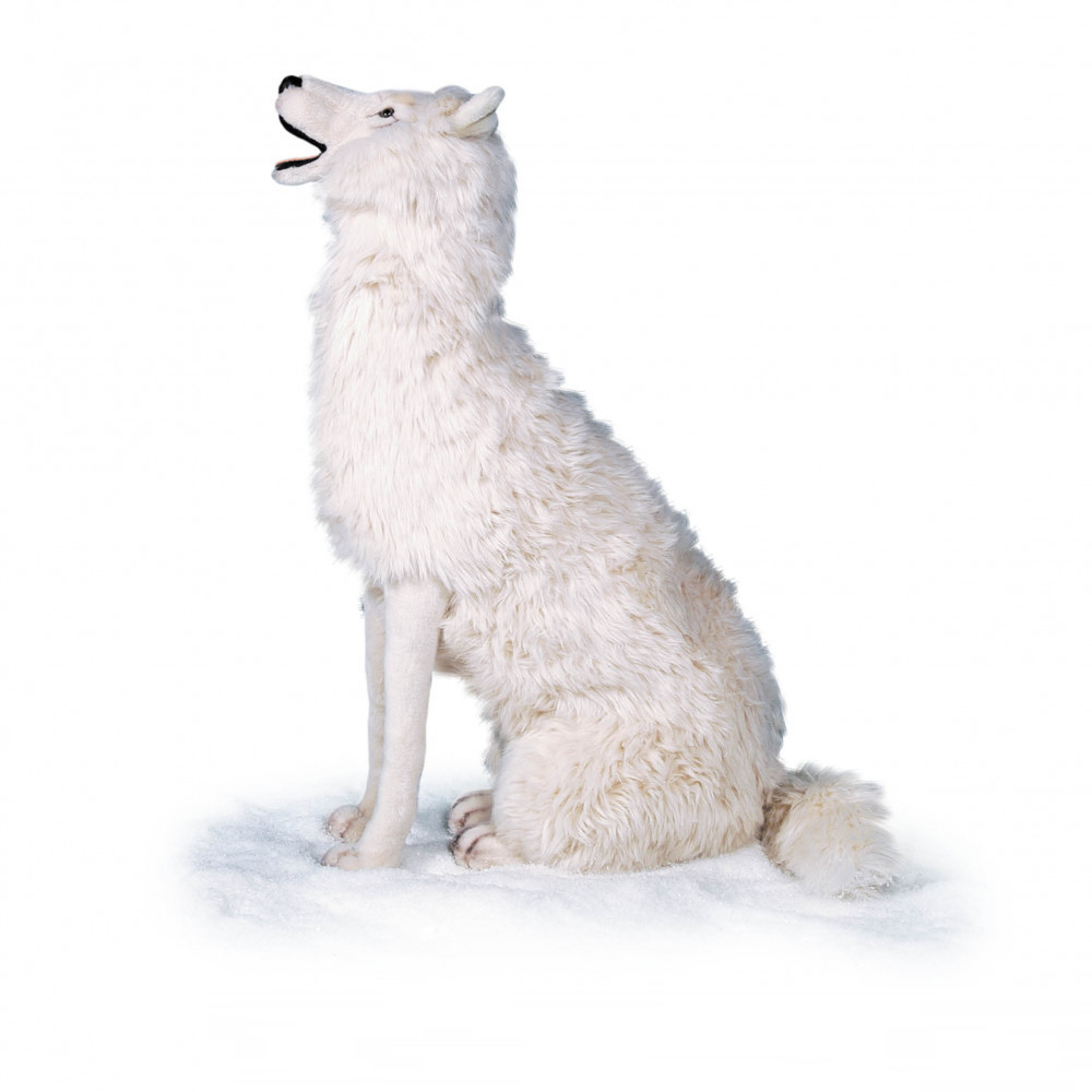 [26263L] HOWLING WOLF