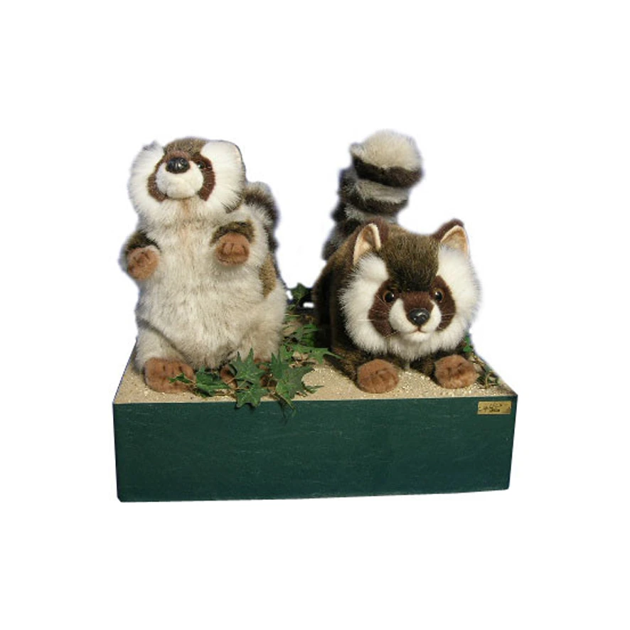 RACCOON BY TWO