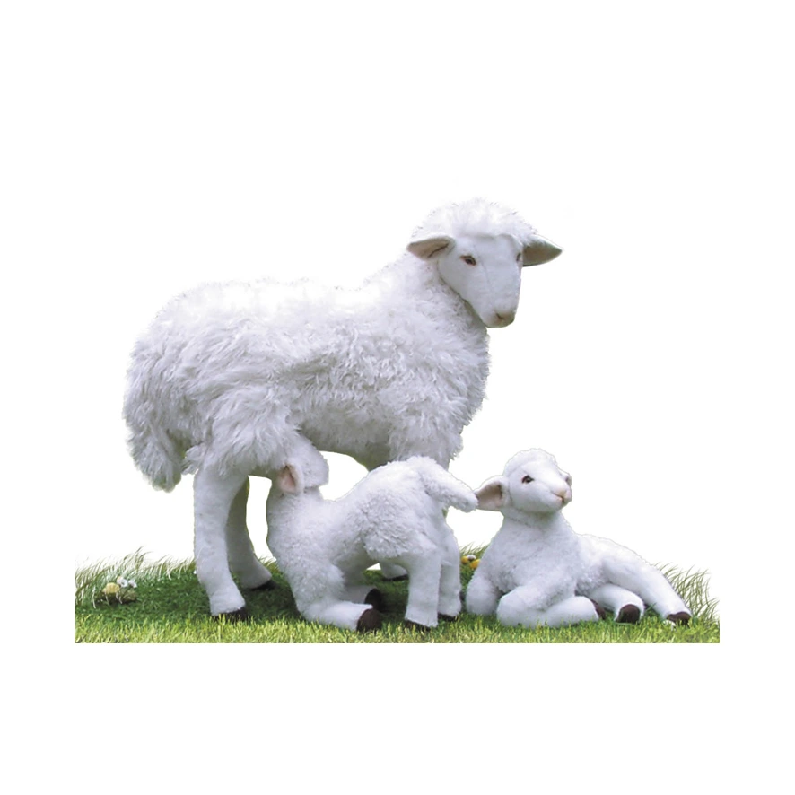 SHEEP FAMILY