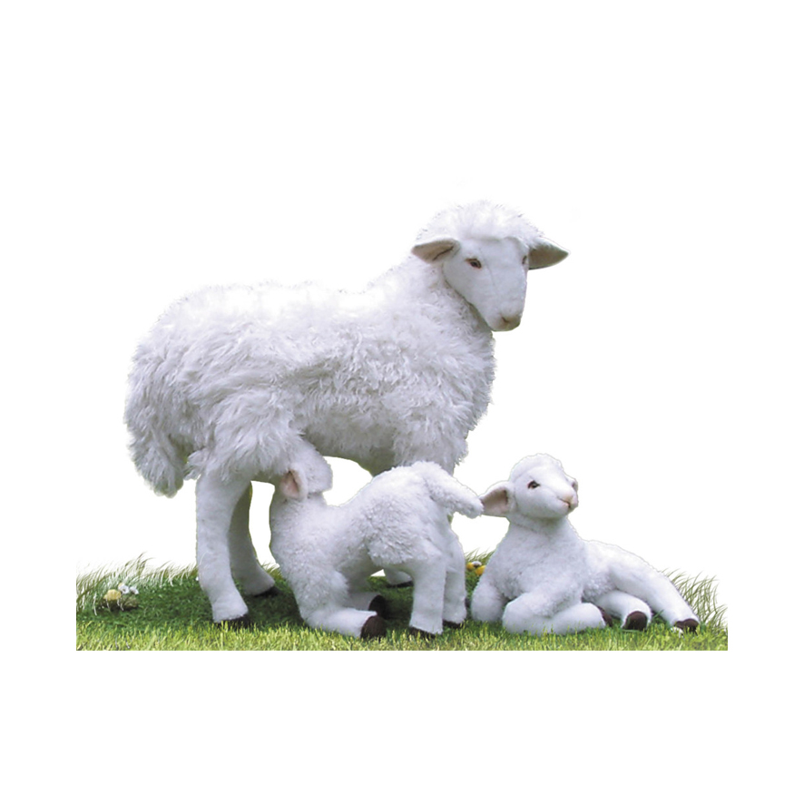 [21152] MOUTONS EN FAMILLE