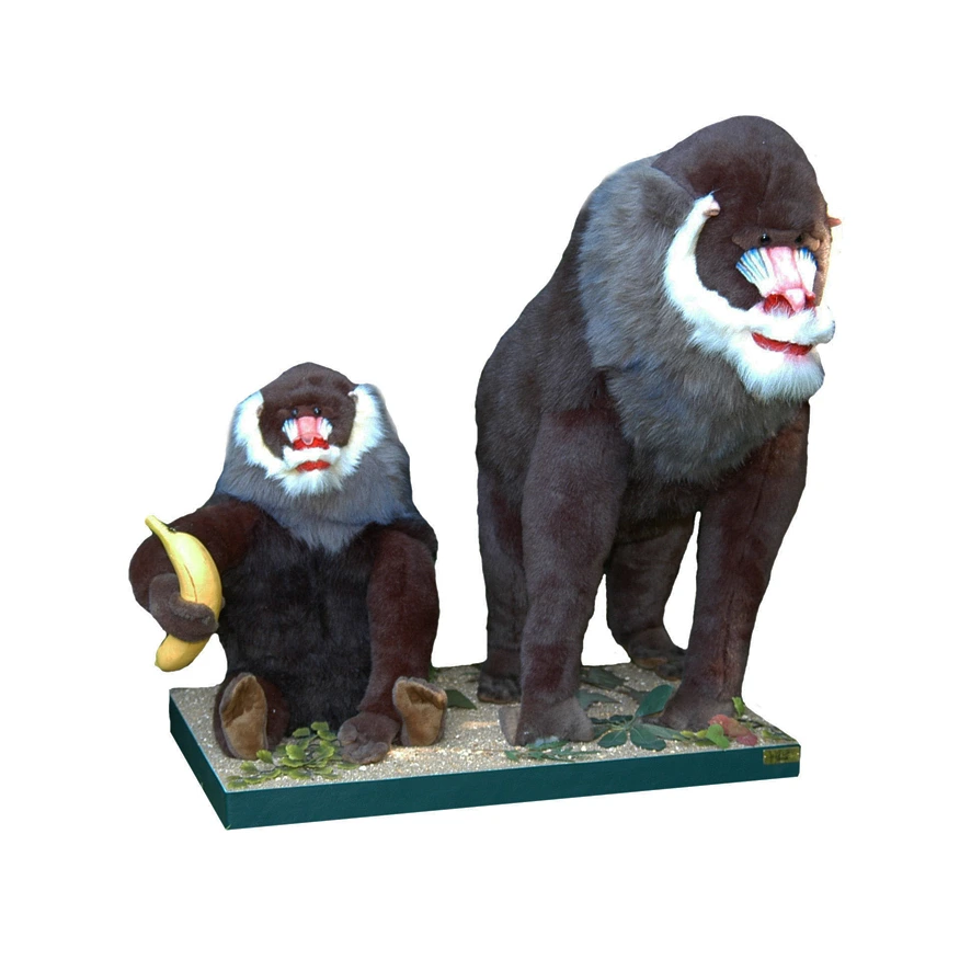[25246L] SINGE - DEUX MANDRILLS