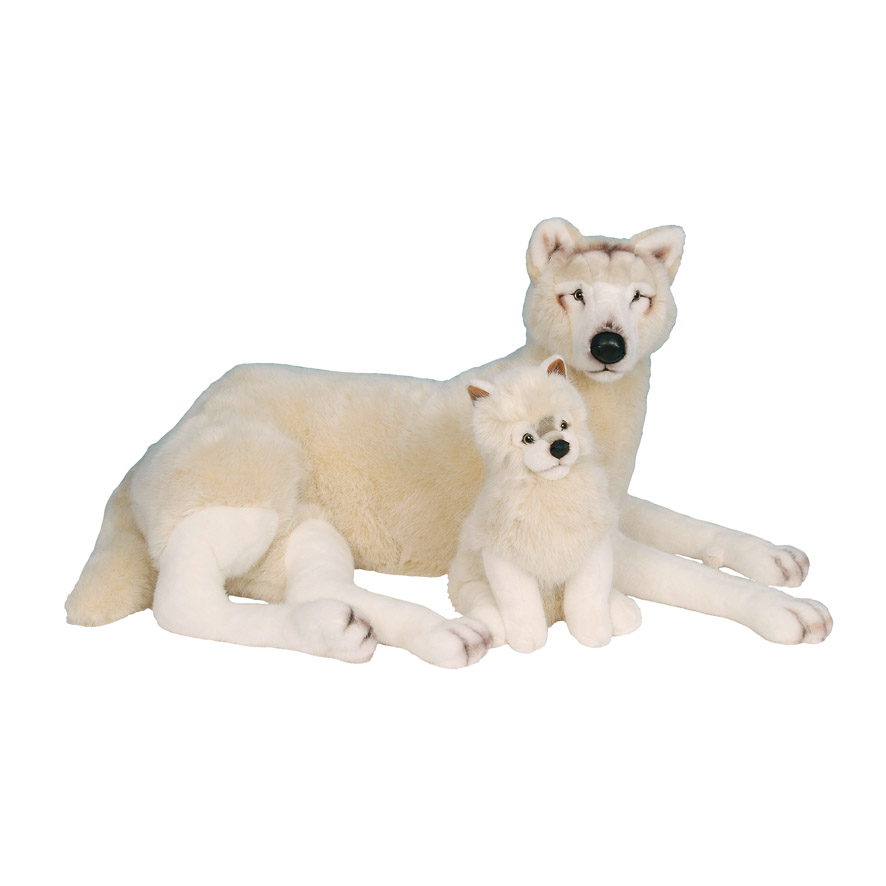 WOLF AND WHITE WOLF CUB