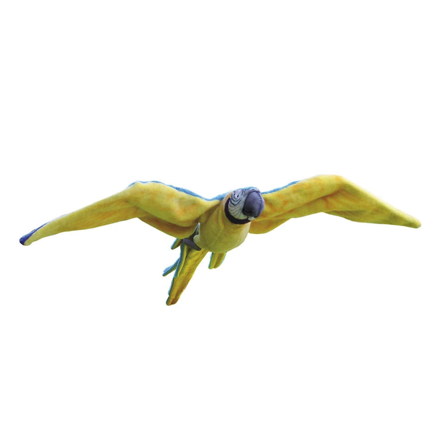 YELLOW PARROT