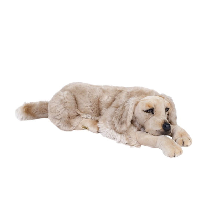 [20143L] CHIEN GOLDEN RETRIEVER COUCHE