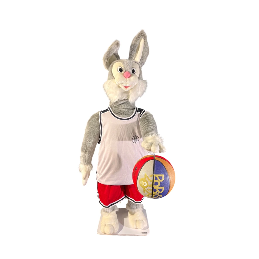[20695JO] Basketball Rabbit