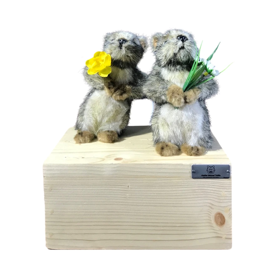 MARMOTTES PETITES A DEUX - CUEILLETTE DE FLEURS