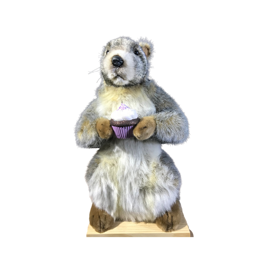 Marmot Grignotte & cupcake