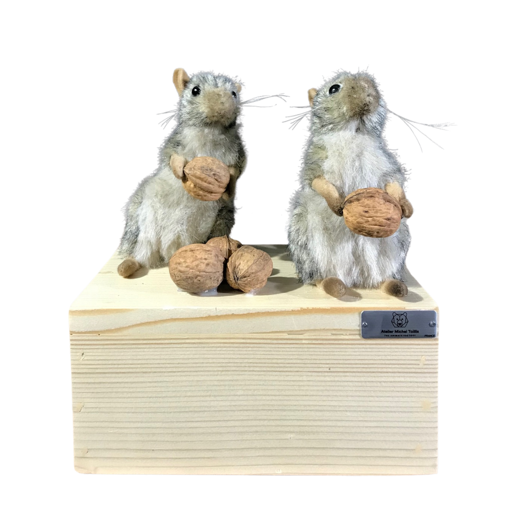[23752] SOURIS RÉCOLTE DE NOIX EN DUO