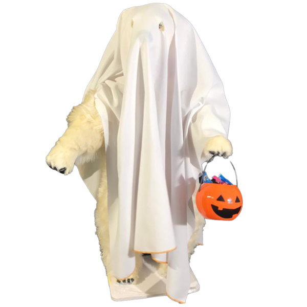 Ours blanc Leon Halloween