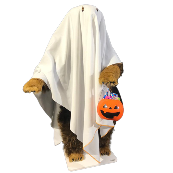 Ours brun Leo Halloween