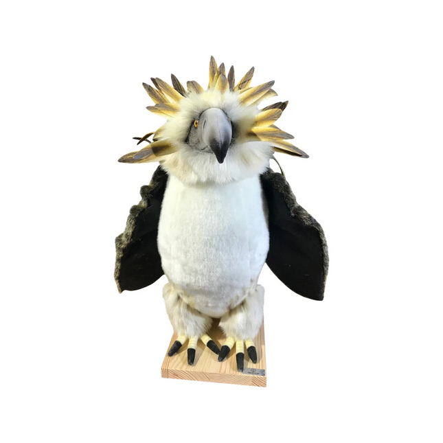 [22732] AIGLES DES PHILIPPINES