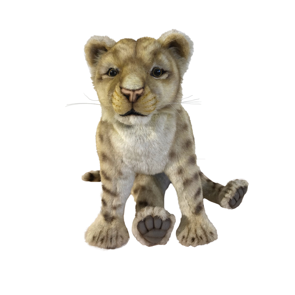 LIONCEAU ASSIS