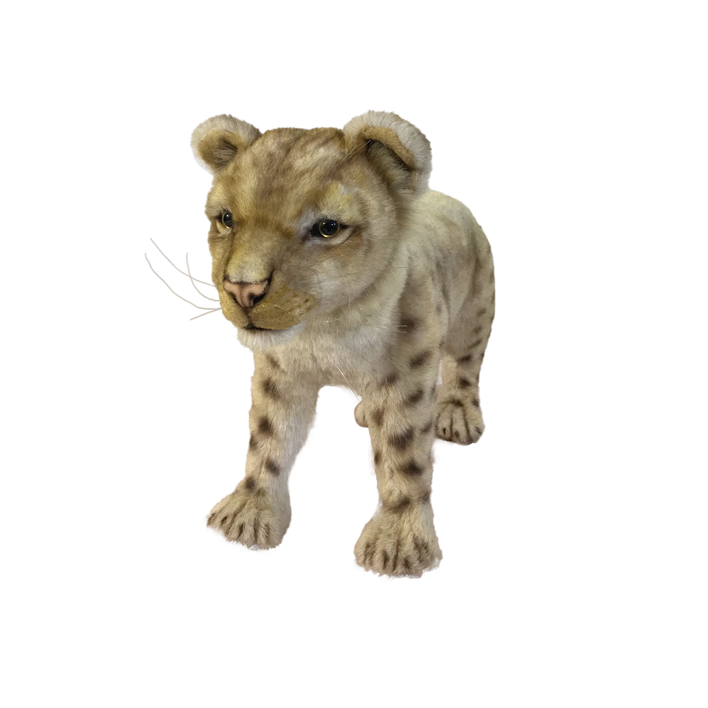 [22719] CUB WITH FOUR PAWS
