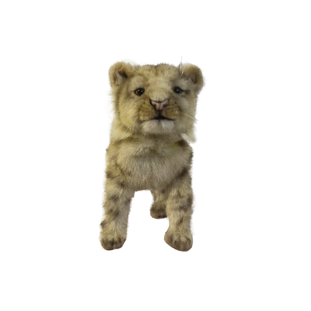 [22718] LIONCEAU BEBE 4 PATTES