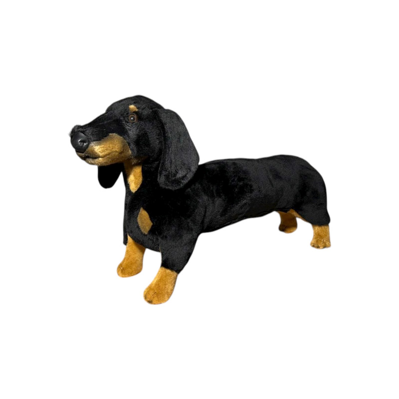 [25815] DOG DASCHSUND