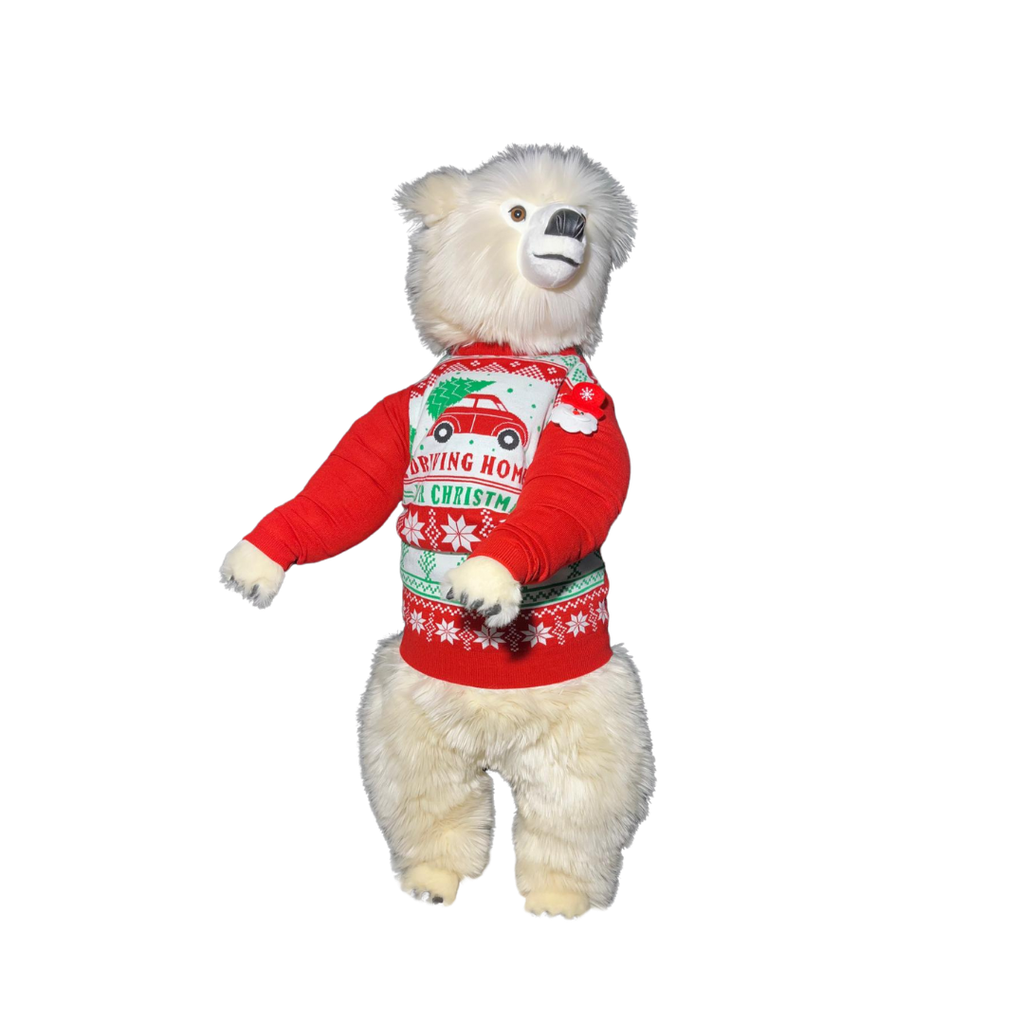 Leon pull de Noel