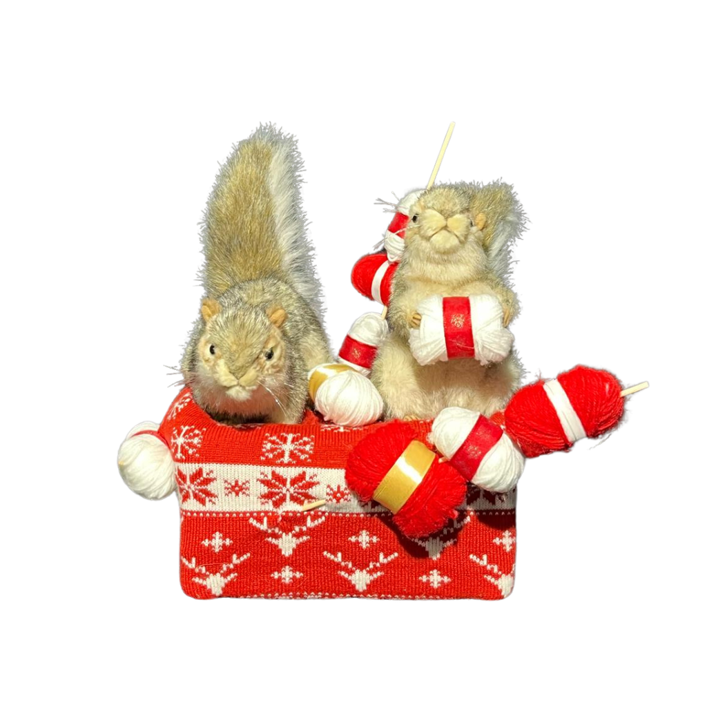 ÉCUREUILS TRICOT DE NOËL
