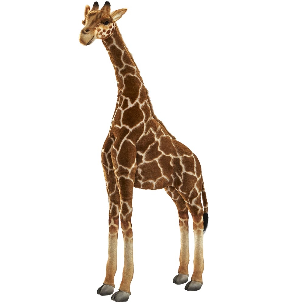 LITTLE GIRAFFE 130 CM