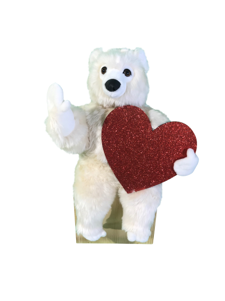 [12427LV] LEONARDO BLANC ASSIS COEUR