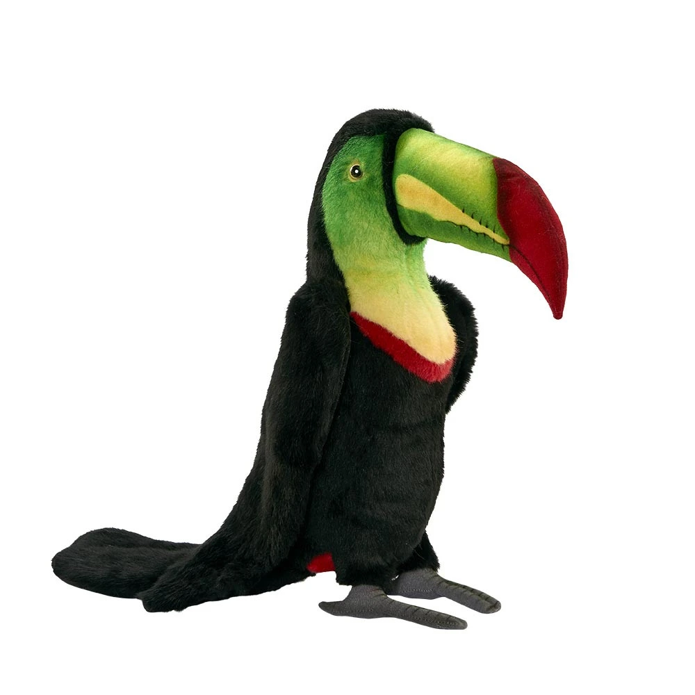[21696L] TOUCAN