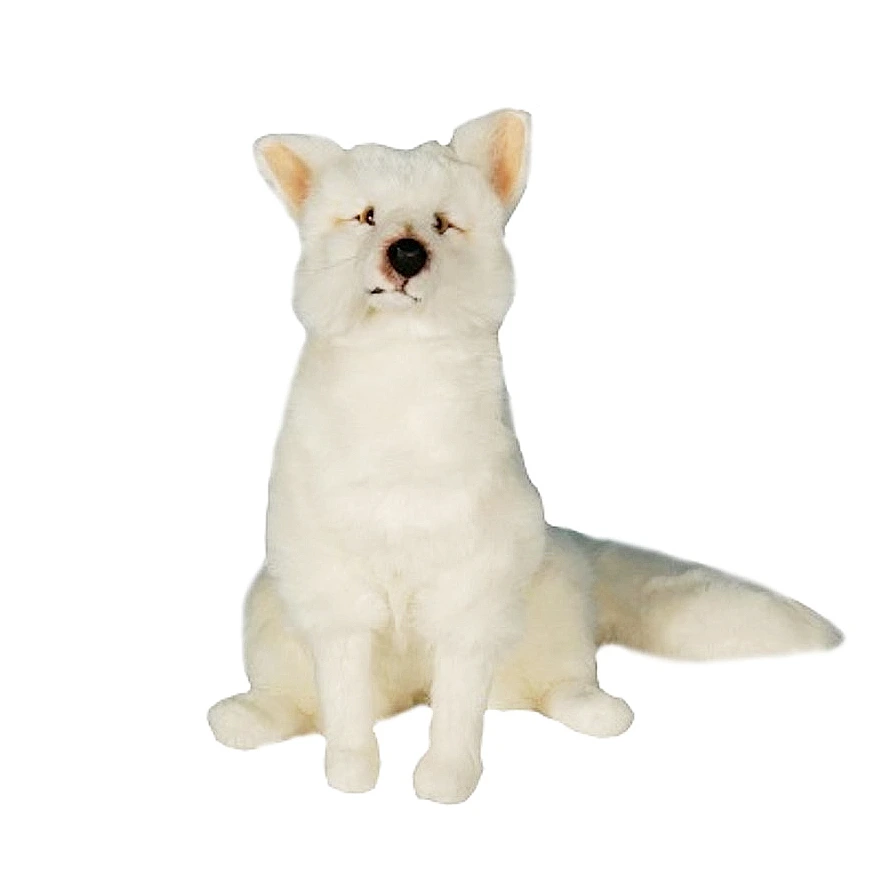 [28314] RENARD BLANC ASSIS