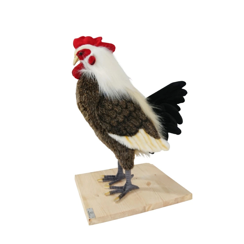 ROOSTER