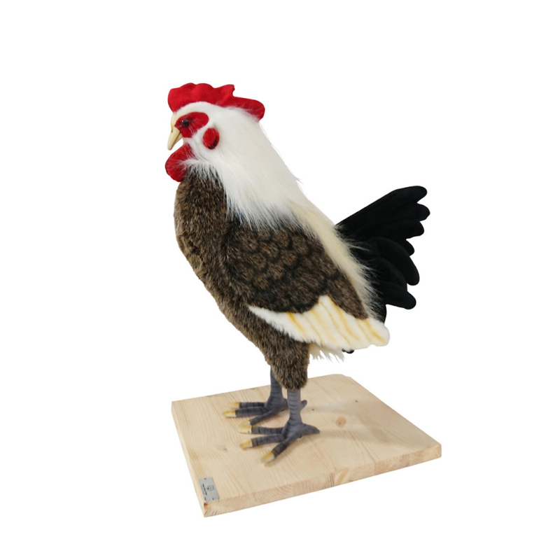 ROOSTER