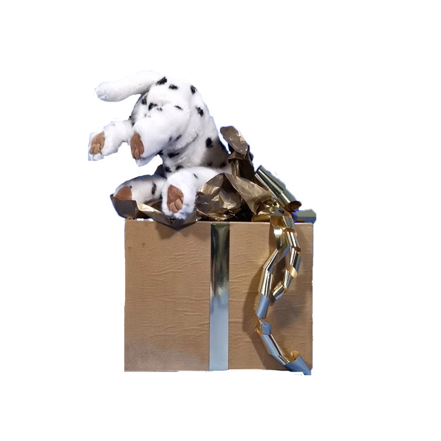 CHIEN DALMATIEN DANS PAQUET CADEAU