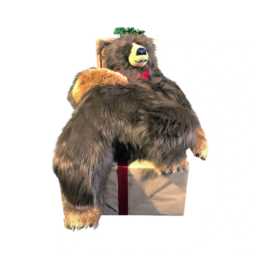 Ours Leo Brun Endormi sur Paquet Cadeau