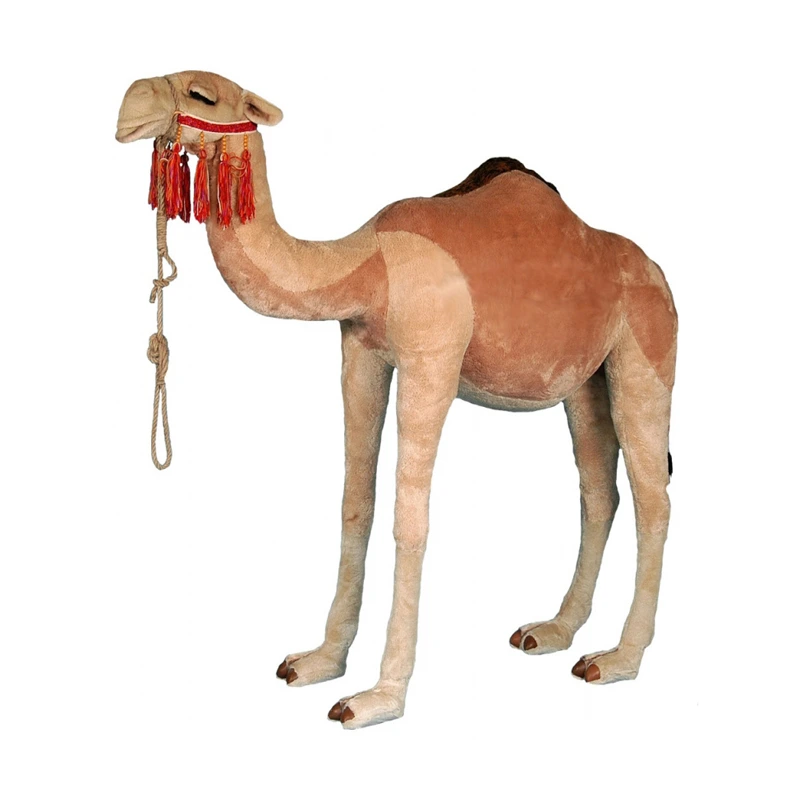 [28320L] ADULT DROMEDARY