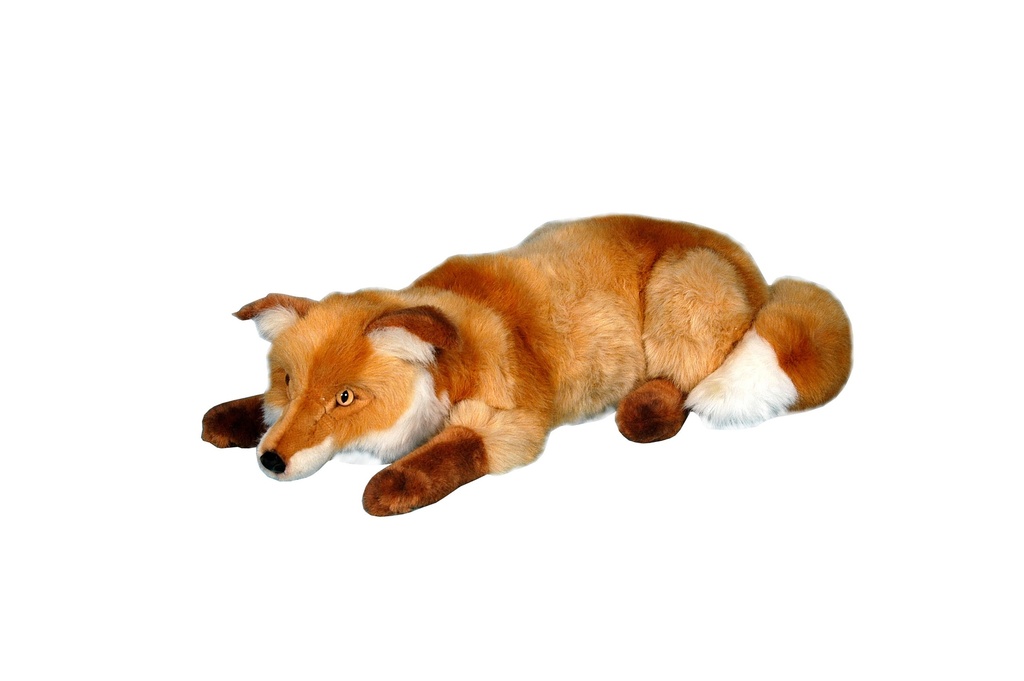 [28311L] LONG HAIRED RED FOX