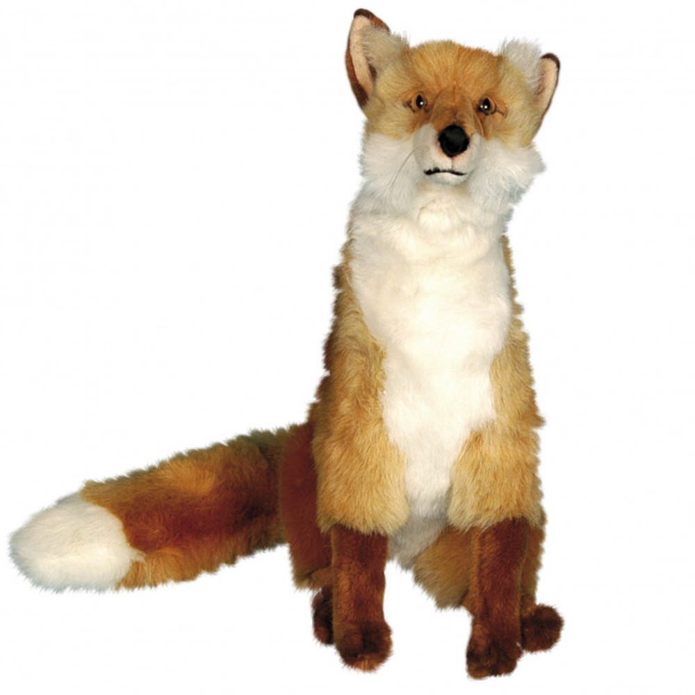 [28310L] RENARD ROUX ASSIS