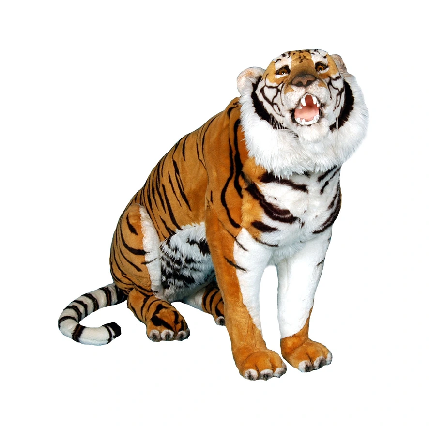 TIGRE ASSIS