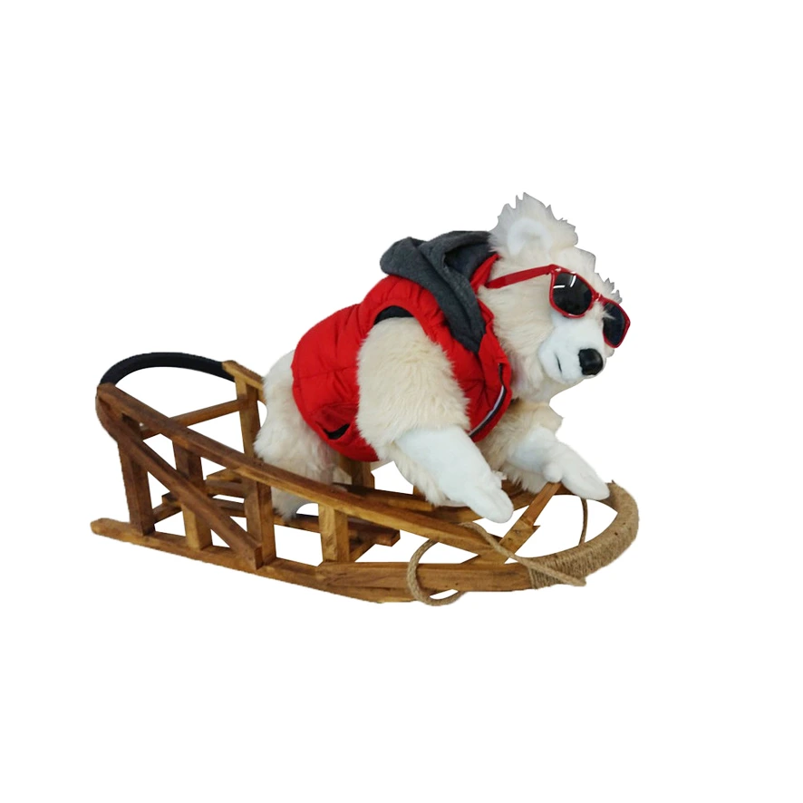 [18603] LEONARDO LUGE