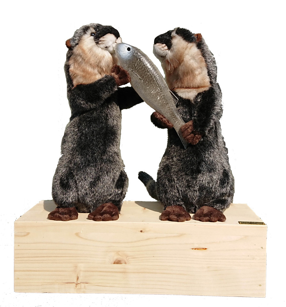 [18600L] STANDING OTTERS IN PAIRS