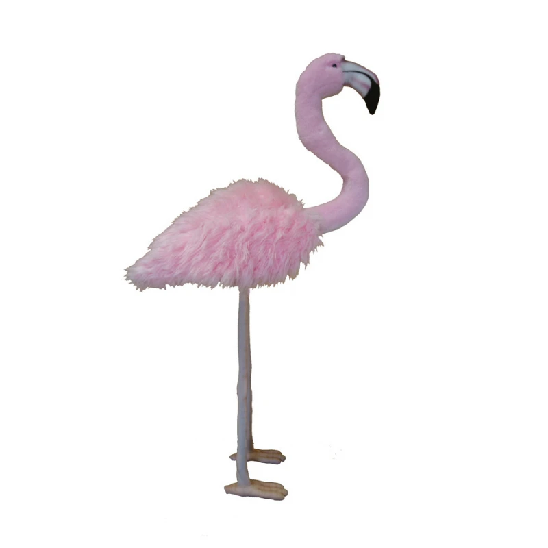 [17573L] FLAMANT ROSE