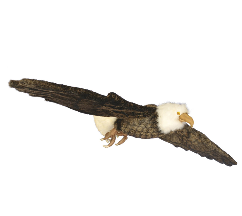 [12440L] AIGLE EN VOL
