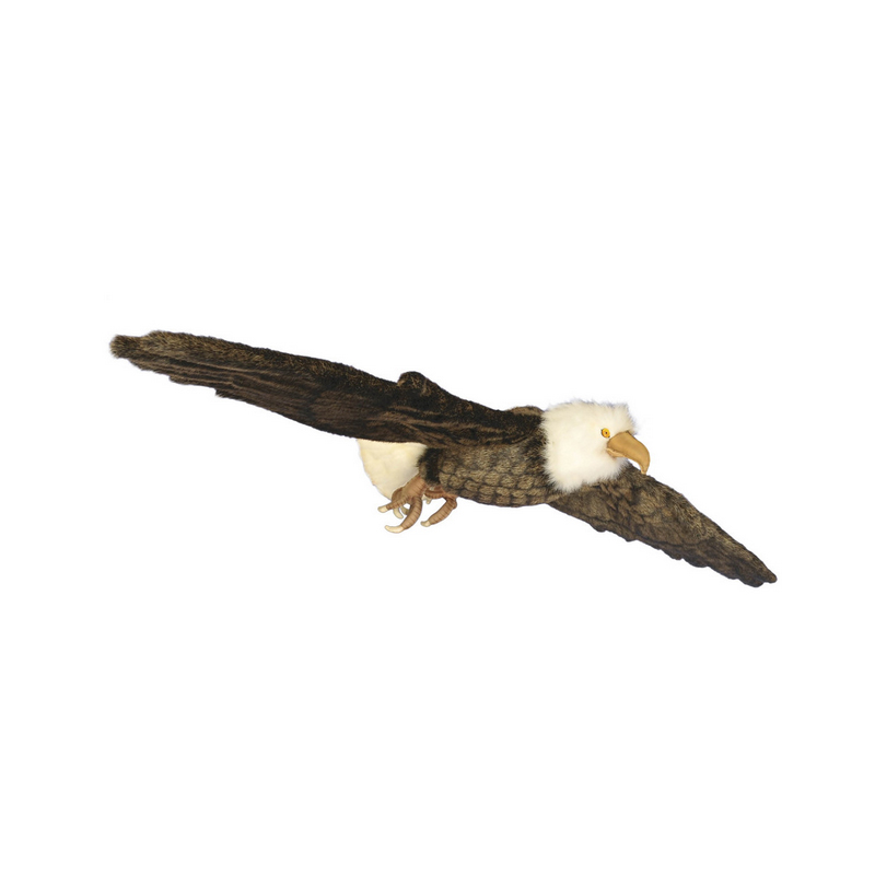 [12440L] EAGLE IN FLIGHT