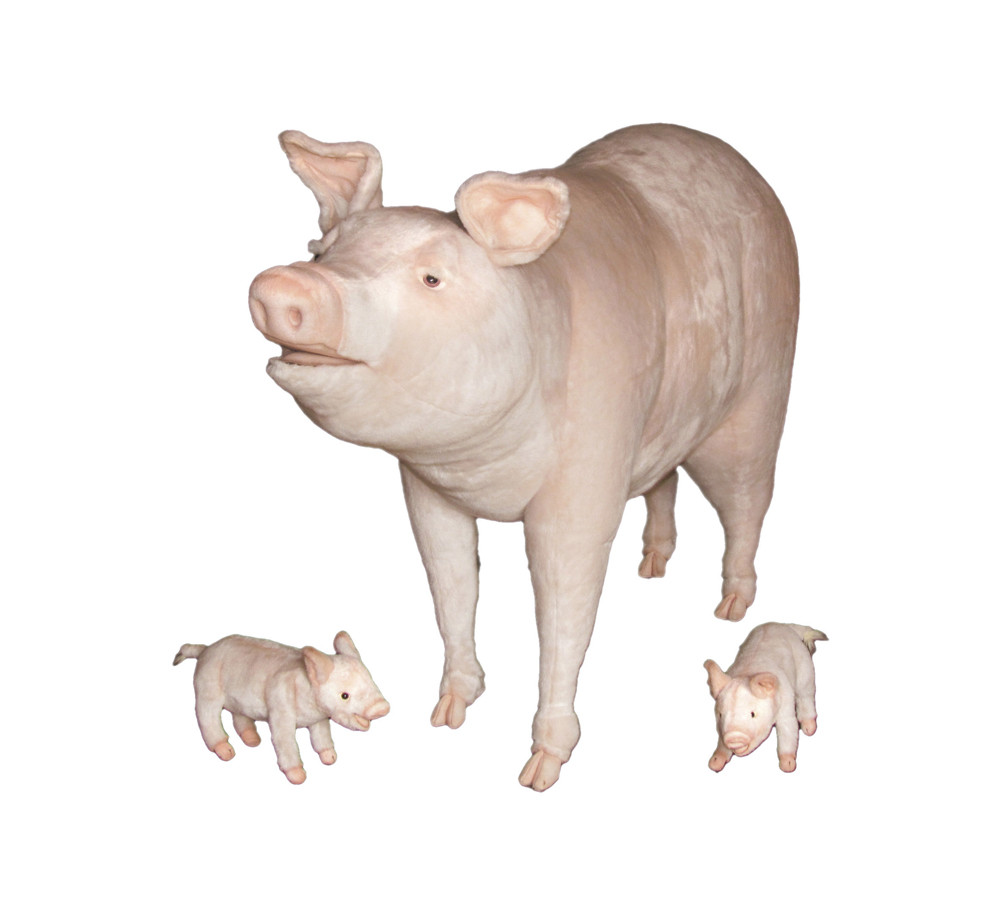 [15532] PIG FAMILY
