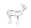 SECOND-HAND STANDING WHITE DOE