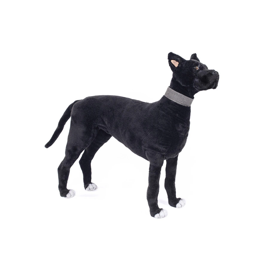 STANDING GREAT DANE DOG