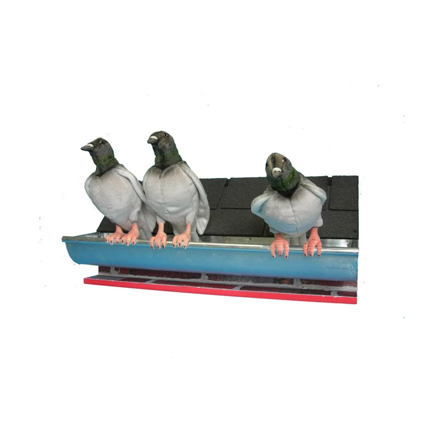 PIGEONS IN THREES