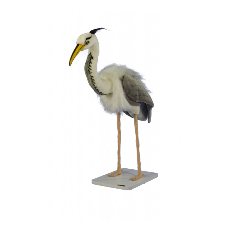 HERON