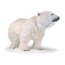 OURS POLAIRE QUATRE PATTES