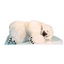 POLAR BEAR SLEEPING