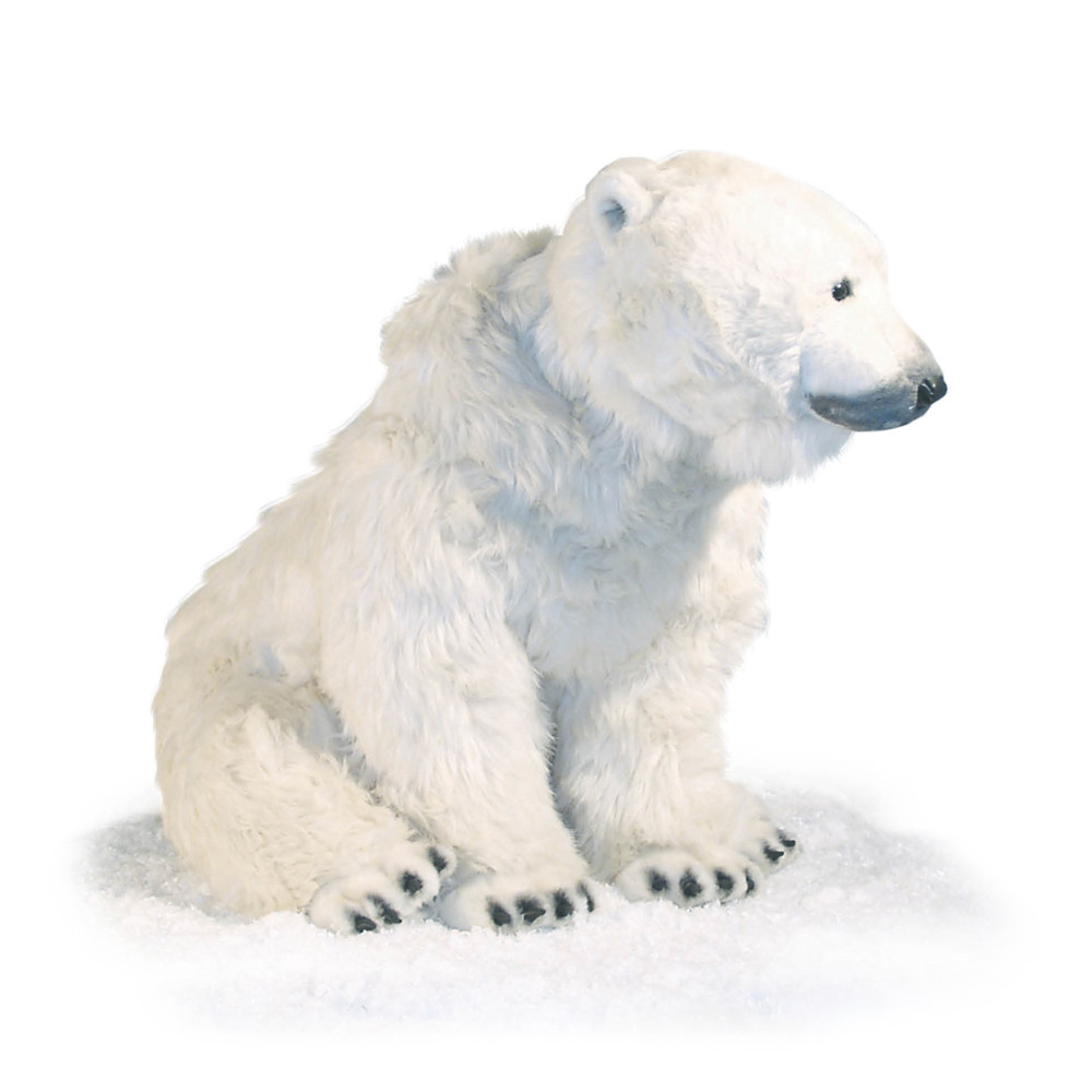 [50036] POLAR BEAR SITTING ON ITS 4 PAWS