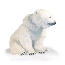 OURS POLAIRE ASSIS