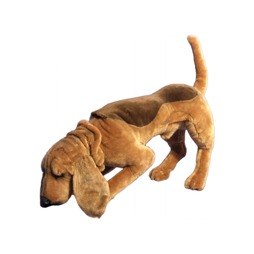 CHIEN SHERLOCK