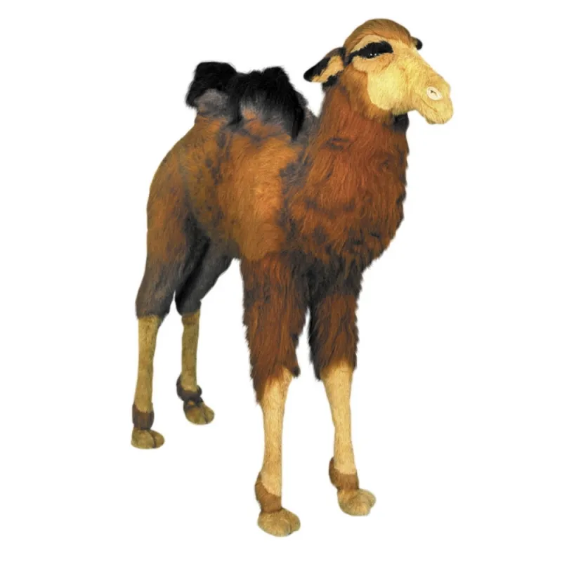 [26257L] LITTLE CAMEL